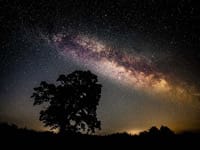 North York Moors Stargazing Experiences